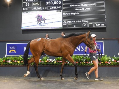 Extreme Choice Colt Knocked Down For A$350,000, Setting Sale ... Image 2